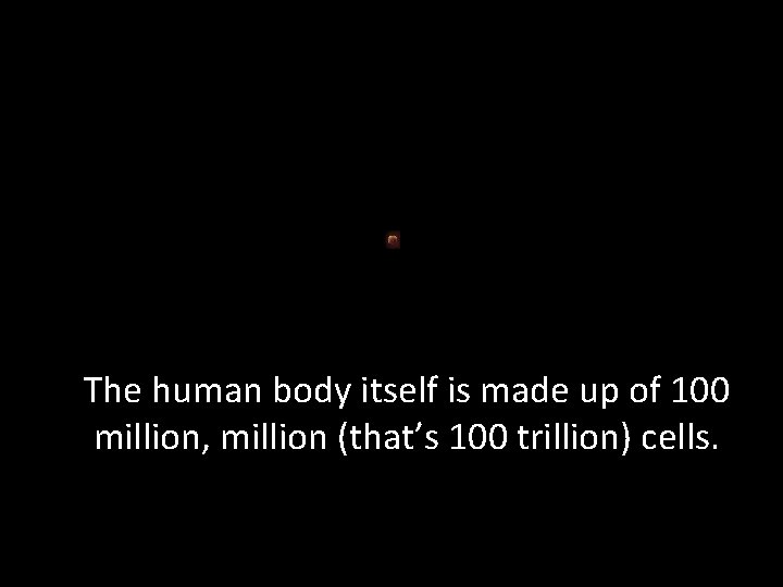 The human body itself is made up of 100 million, million (that’s 100 trillion)