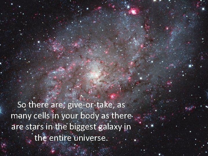 So there are, give-or-take, as many cells in your body as there are stars