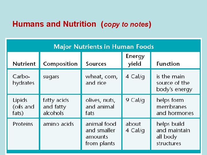 Humans and Nutrition (copy to notes) 