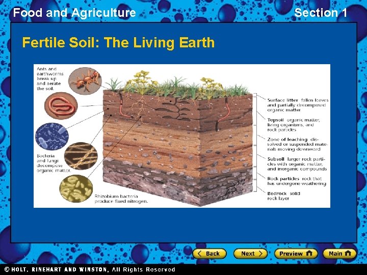 Food and Agriculture Fertile Soil: The Living Earth Section 1 