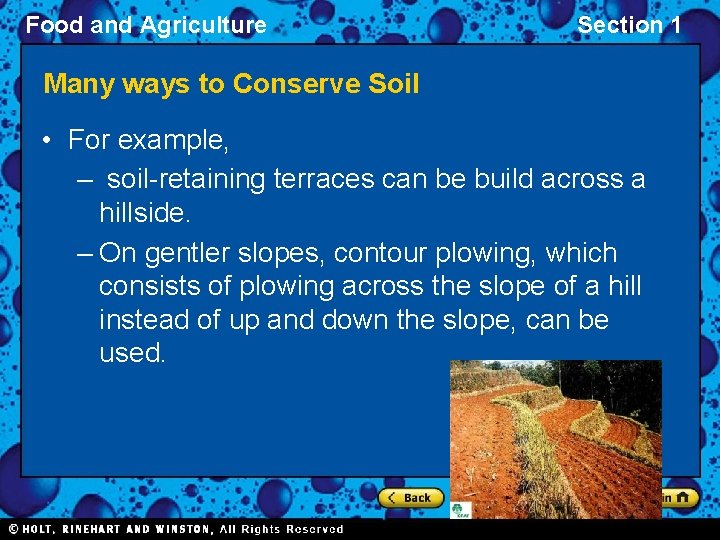 Food and Agriculture Section 1 Many ways to Conserve Soil • For example, –