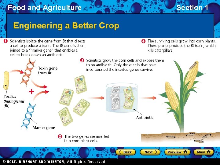 Food and Agriculture Engineering a Better Crop Section 1 