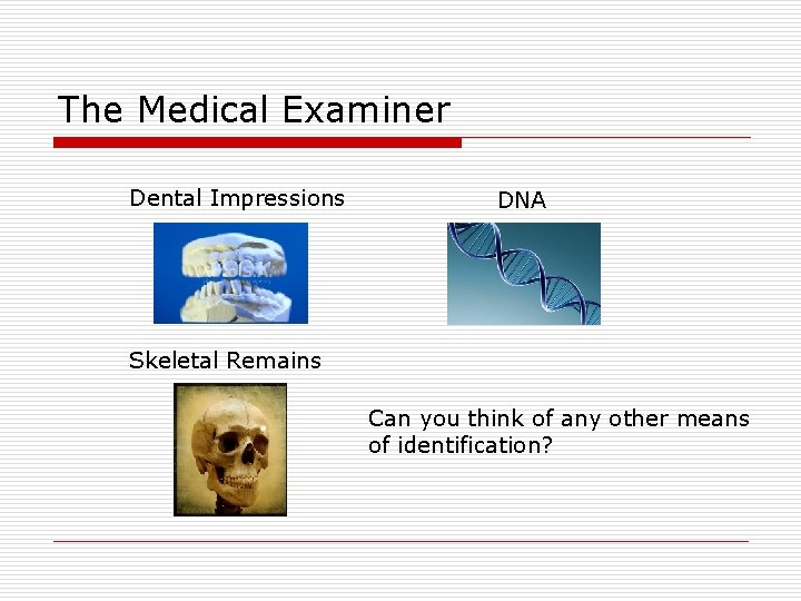 The Medical Examiner Dental Impressions DNA Skeletal Remains Can you think of any other