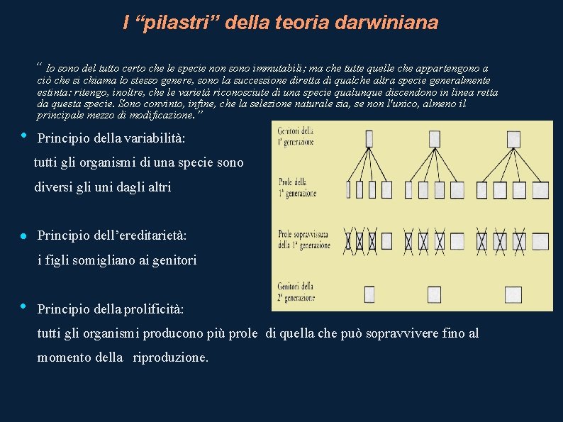 I “pilastri” della teoria darwiniana “ Io sono del tutto certo che le specie