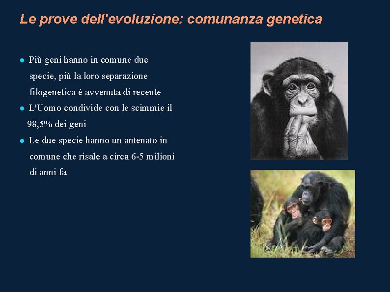 Le prove dell'evoluzione: comunanza genetica Più geni hanno in comune due specie, più la