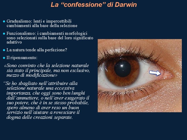 La “confessione” di Darwin Gradualismo: lenti e impercettibili cambiamenti alla base della selezione Funzionalismo: