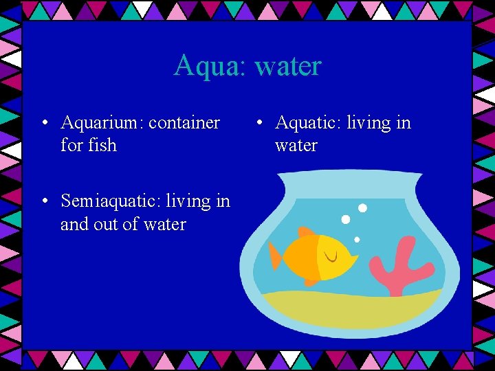 Aqua: water • Aquarium: container for fish • Semiaquatic: living in and out of