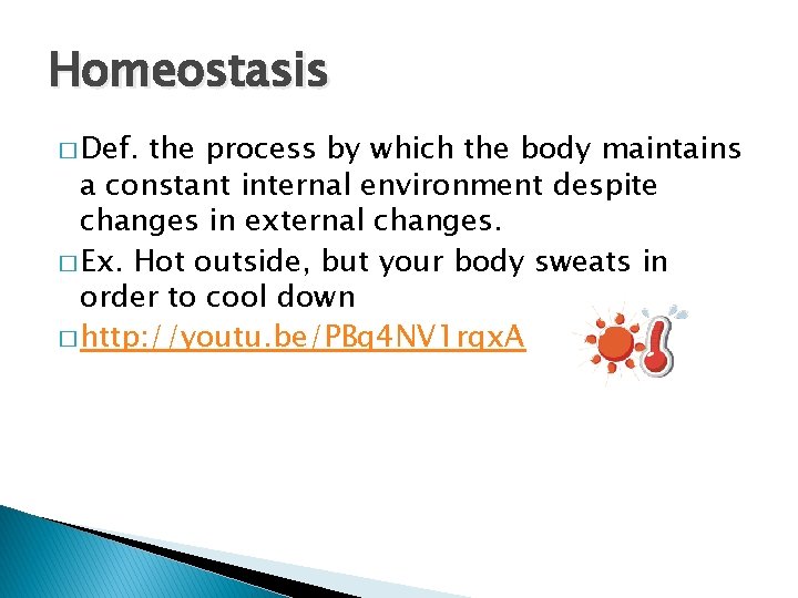 Homeostasis � Def. the process by which the body maintains a constant internal environment