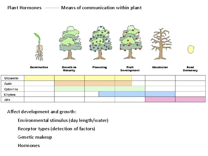 Plant Hormones Means of communication within plant Affect development and growth: Environmental stimulus (day