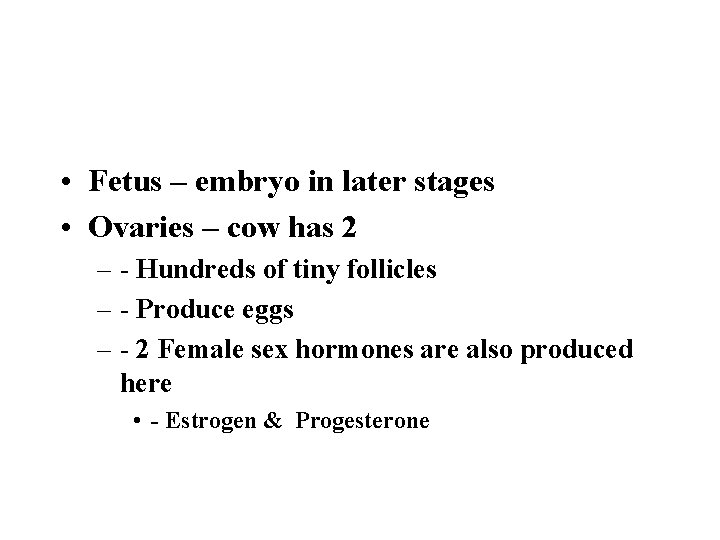  • Fetus – embryo in later stages • Ovaries – cow has 2