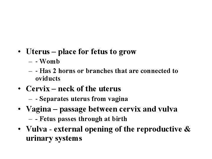  • Uterus – place for fetus to grow – - Womb – -