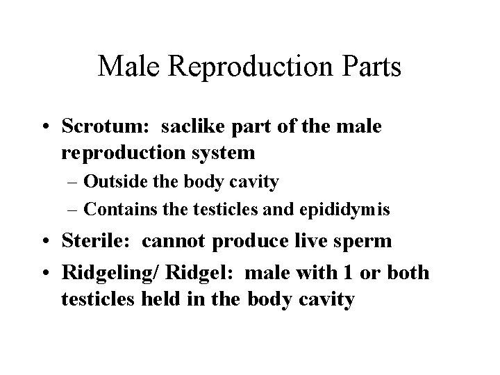 Male Reproduction Parts • Scrotum: saclike part of the male reproduction system – Outside