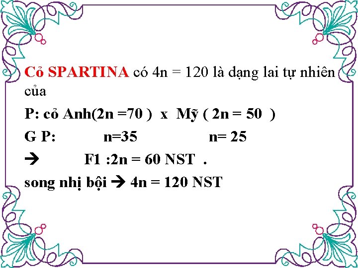 Cỏ SPARTINA có 4 n = 120 là dạng lai tự nhiên của P: