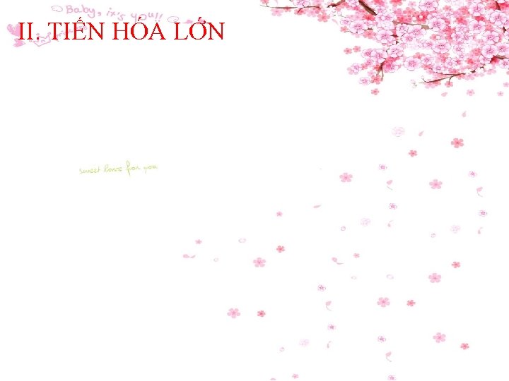 II. TIẾN HÓA LỚN 