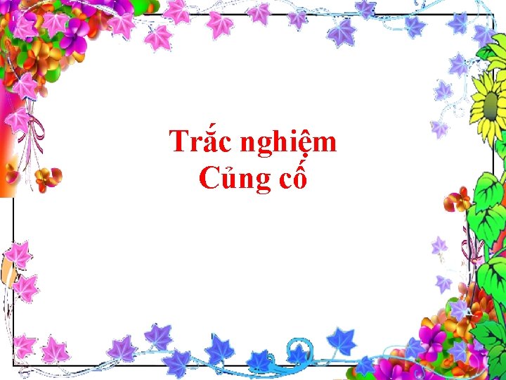 Trắc nghiệm Củng cố 