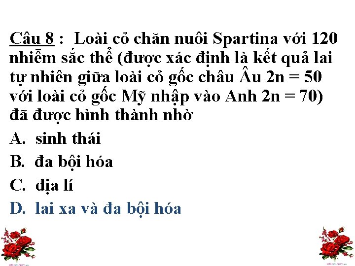 Câu 8 : Loài cỏ chăn nuôi Spartina với 120 nhiễm sắc thể (được