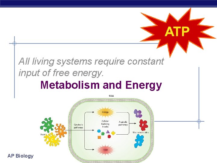 All living systems require constant input of free energy. Metabolism and Energy AP Biology