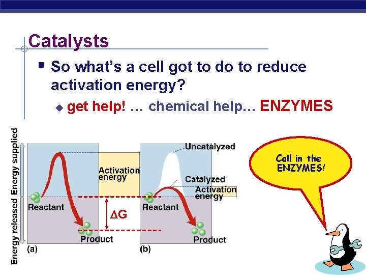 Catalysts § So what’s a cell got to do to reduce activation energy? u