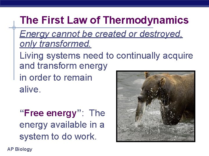 The First Law of Thermodynamics Energy cannot be created or destroyed, only transformed. Living