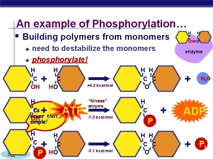 An example of Phosphorylation… § Building polymers from monomers need to destabilize the monomers