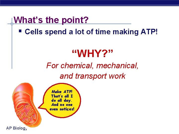 What’s the point? § Cells spend a lot of time making ATP! “WHY? ”