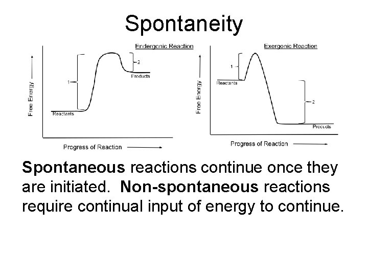 Spontaneity Spontaneous reactions continue once they are initiated. Non-spontaneous reactions require continual input of