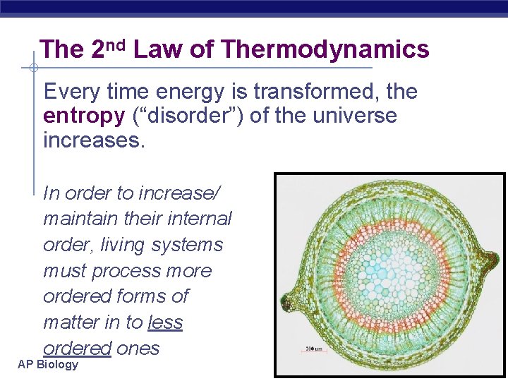 The 2 nd Law of Thermodynamics Every time energy is transformed, the entropy (“disorder”)