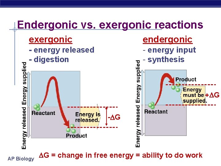 Endergonic vs. exergonic reactions exergonic endergonic - energy released - digestion - energy input