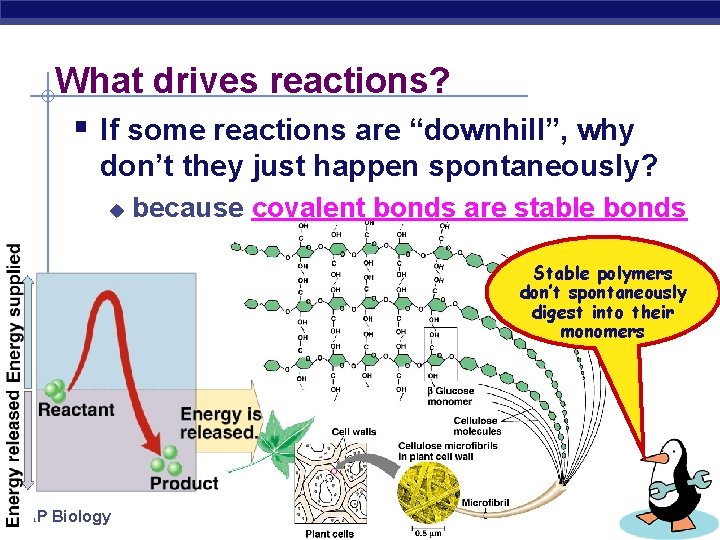 What drives reactions? § If some reactions are “downhill”, why don’t they just happen