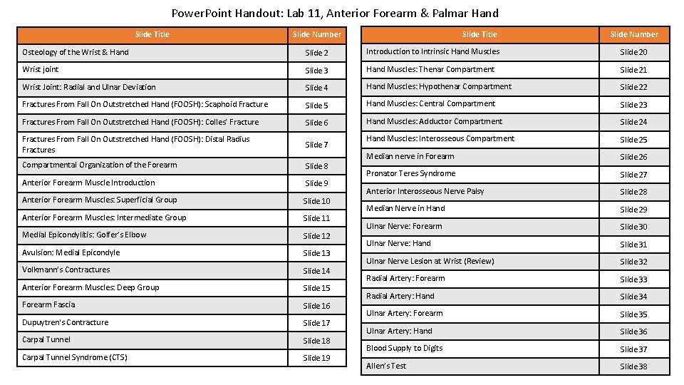 Power. Point Handout: Lab 11, Anterior Forearm & Palmar Hand Slide Title Slide Number
