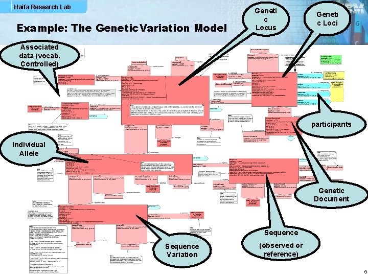 Haifa Research Lab Example: The Genetic. Variation Model Geneti c Locus Geneti c Loci