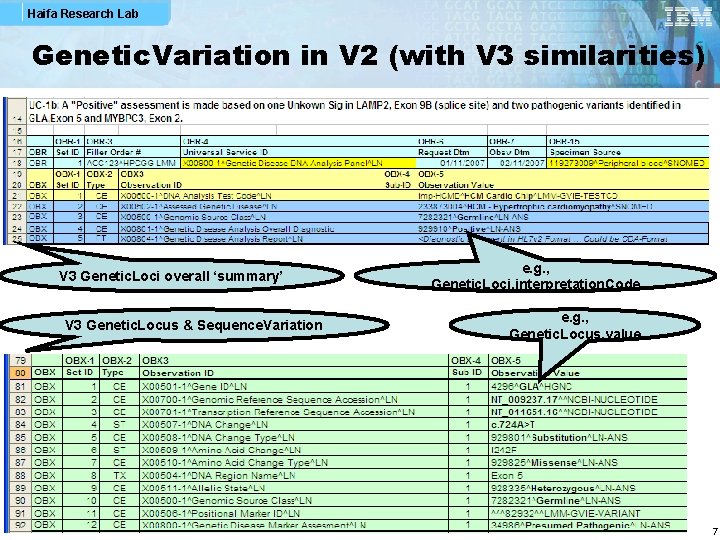 Haifa Research Lab Genetic. Variation in V 2 (with V 3 similarities) V 3
