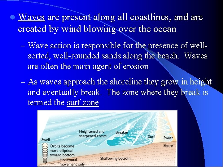 l Waves are present along all coastlines, and are created by wind blowing over