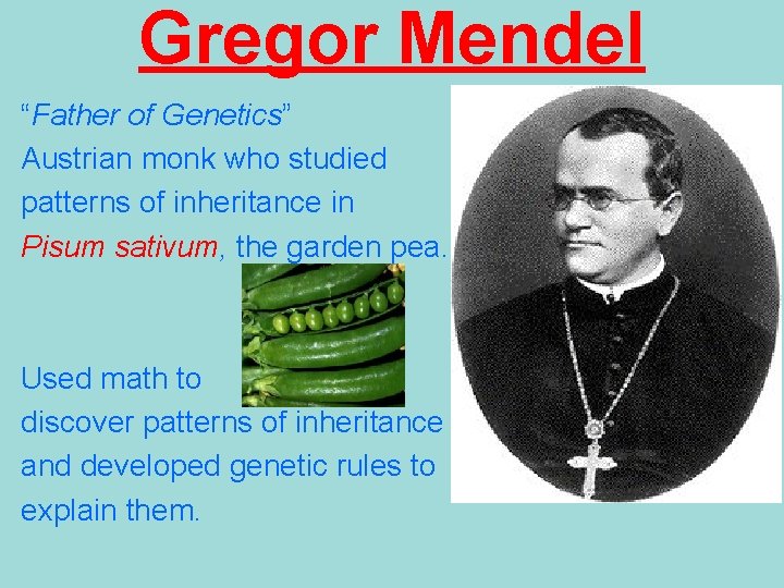 Gregor Mendel “Father of Genetics” Austrian monk who studied patterns of inheritance in Pisum