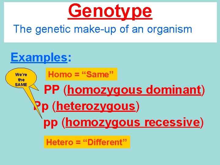 Genotype The genetic make-up of an organism Examples: We’re the SAME Homo = “Same”