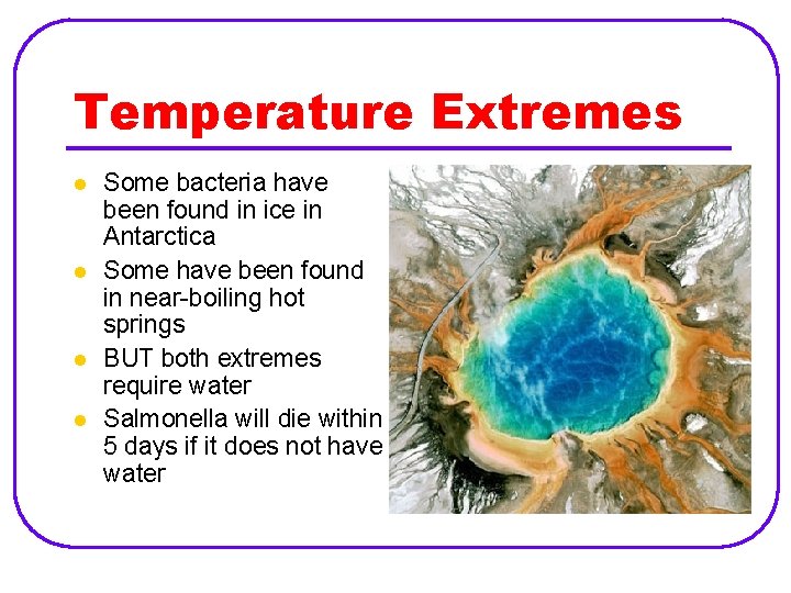 Temperature Extremes l l Some bacteria have been found in ice in Antarctica Some