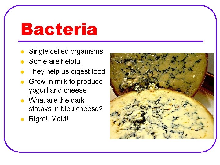 Bacteria l l l Single celled organisms Some are helpful They help us digest