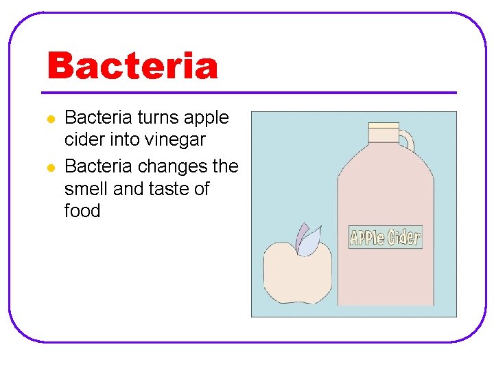 Bacteria l l Bacteria turns apple cider into vinegar Bacteria changes the smell and