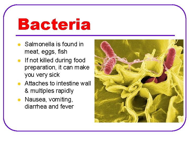 Bacteria l l Salmonella is found in meat, eggs, fish If not killed during