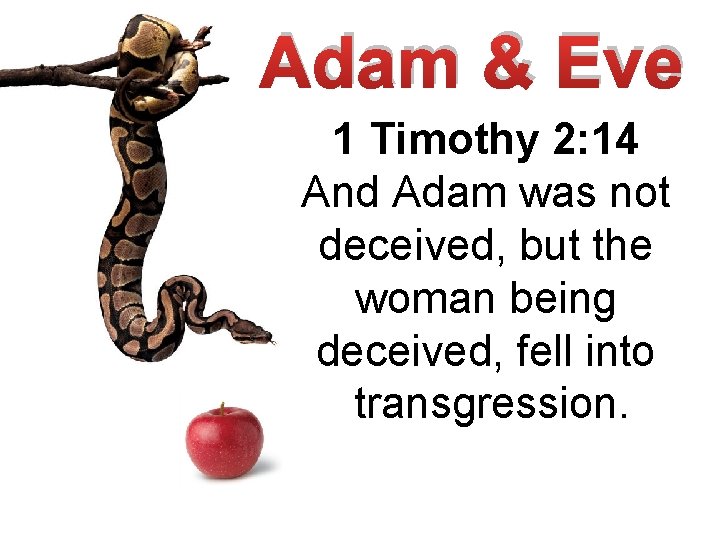 Adam & Eve 1 Timothy 2: 14 And Adam was not deceived, but the