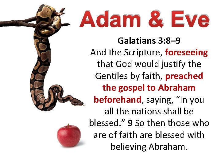 Adam & Eve Galatians 3: 8– 9 And the Scripture, foreseeing that God would