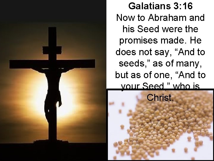 Galatians 3: 16 Now to Abraham and his Seed were the promises made. He