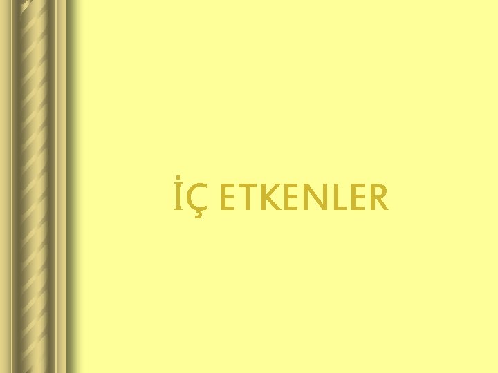 İÇ ETKENLER 