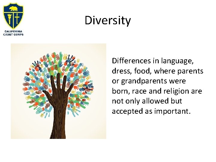 Diversity Differences in language, dress, food, where parents or grandparents were born, race and