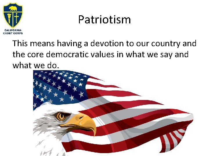 Patriotism This means having a devotion to our country and the core democratic values