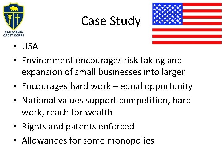 Case Study • USA • Environment encourages risk taking and expansion of small businesses