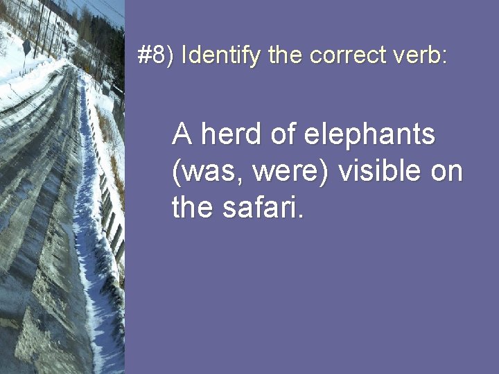 #8) Identify the correct verb: A herd of elephants (was, were) visible on the