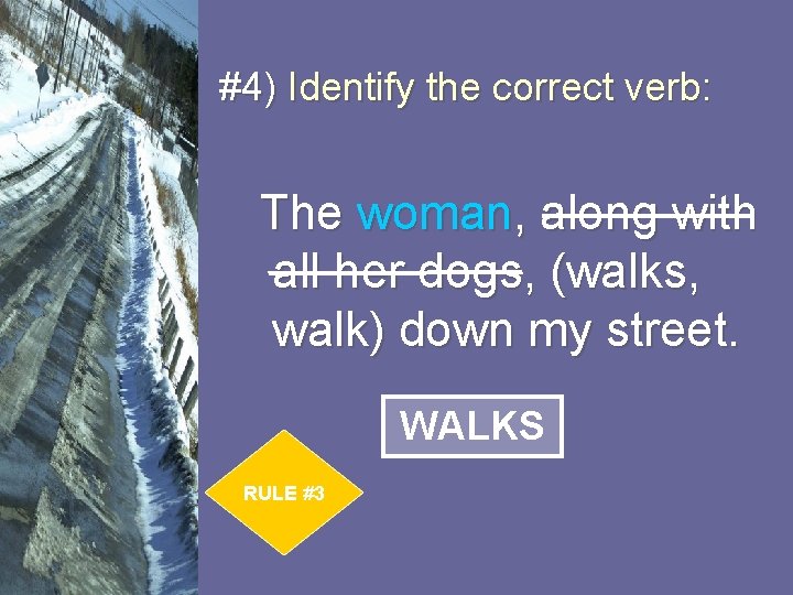 #4) Identify the correct verb: The woman, along with all her dogs, (walks, walk)