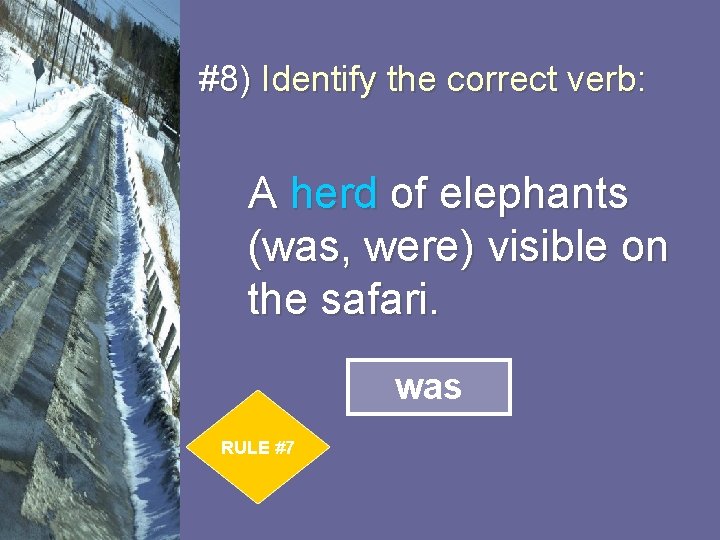 #8) Identify the correct verb: A herd of elephants (was, were) visible on the