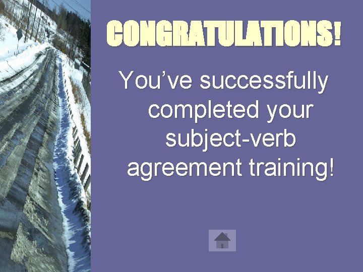 CONGRATULATIONS! You’ve successfully completed your subject-verb agreement training! 